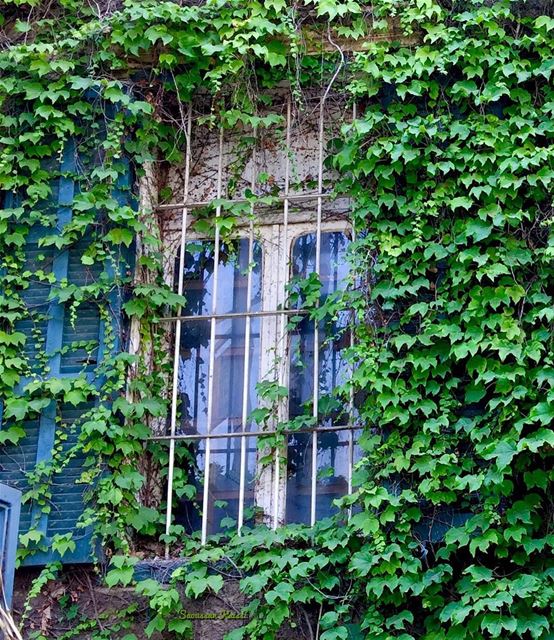  nostalgia  oldwindow  greenleafs  achrafieh  beirut ...