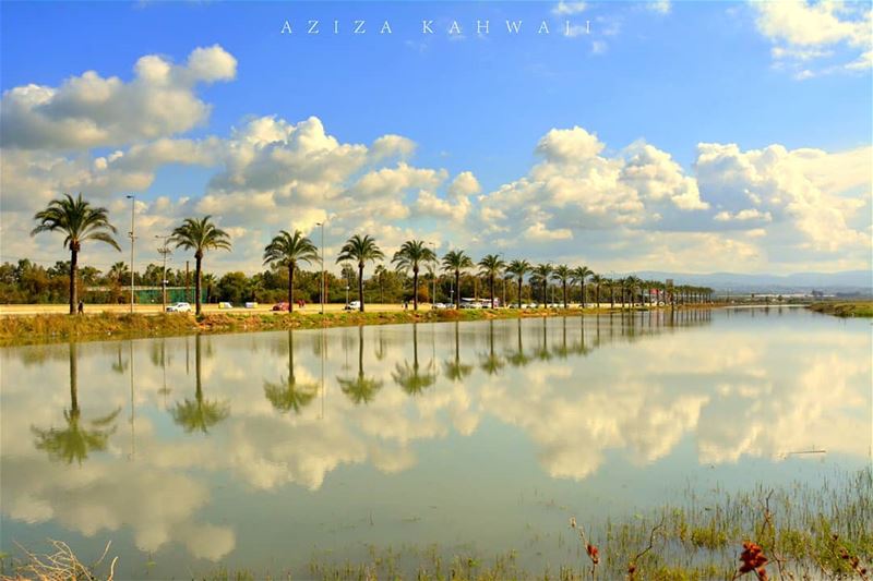 Not all those who wander are... (Tyre, Lebanon)