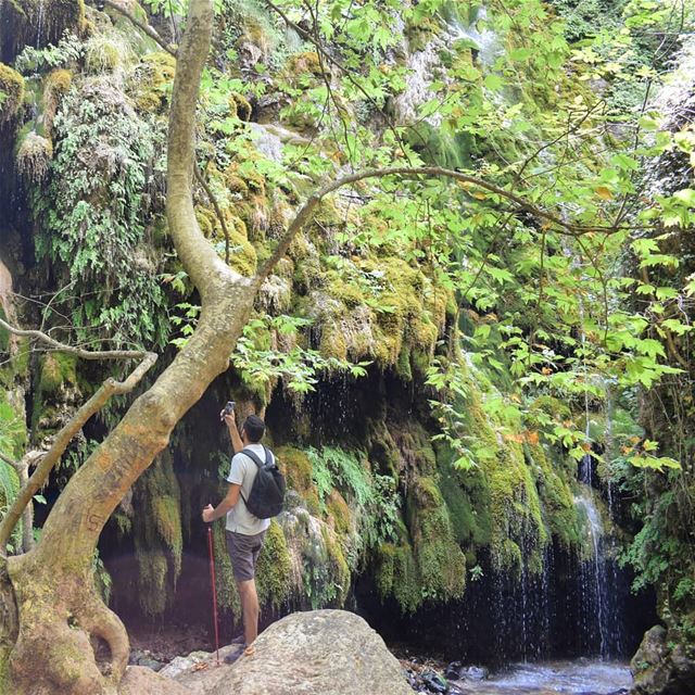 Not All Who Wander Are Lost 💧🍃 (Ouâdi Qannoûbîne, Liban-Nord, Lebanon)