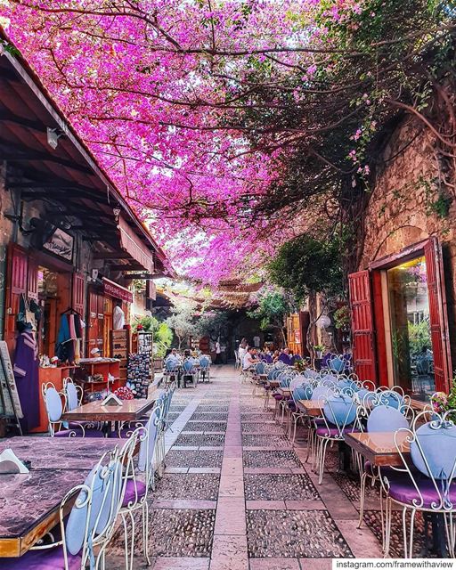 Not only am I standing in a beautiful ancient city and what is known to be... (Byblos, Lebanon)