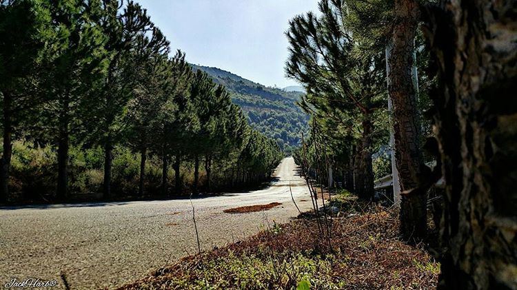 Nothing behing me everything ahead of me, as is ever so on the road. ... (Tannourine)