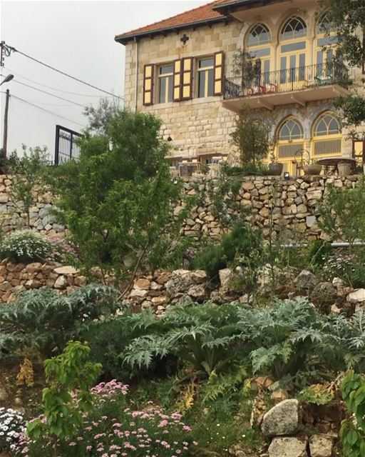 Nothing  better than the sound of the  bird in village... douna ... (Douma, Liban-Nord, Lebanon)