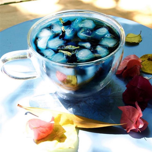 Nothing better then to start your day with phoenix bleu tea ☕️...📸: @b