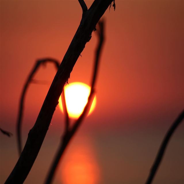 Nothing but another sunset...  lebanon  lebanon_hdr  ig_lebanon ... (Utopia)