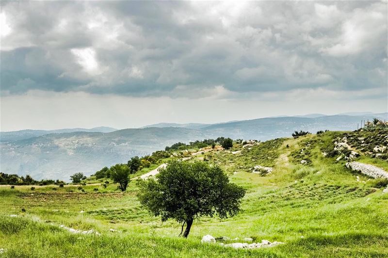 Nothing can bring you peace but yourself 💚☘️🌱............. (Jezzîne, Al Janub, Lebanon)