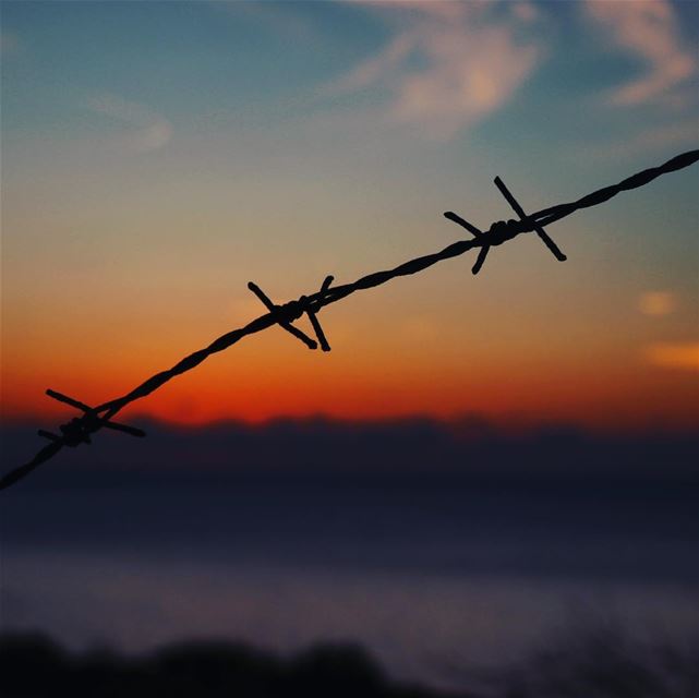 Nothing can stop u !  freedom  Lebanon  Liban  sunset  wire  throne  fence...