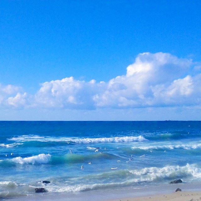 Nothing like walking near the sea to forget this week's stress! ...