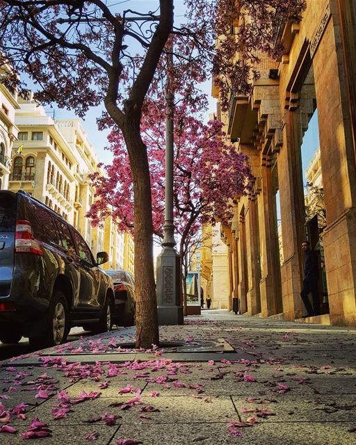 Nothing more enjoyable.. empowering.. rejuvenating..than running in... (Beirut, Lebanon)