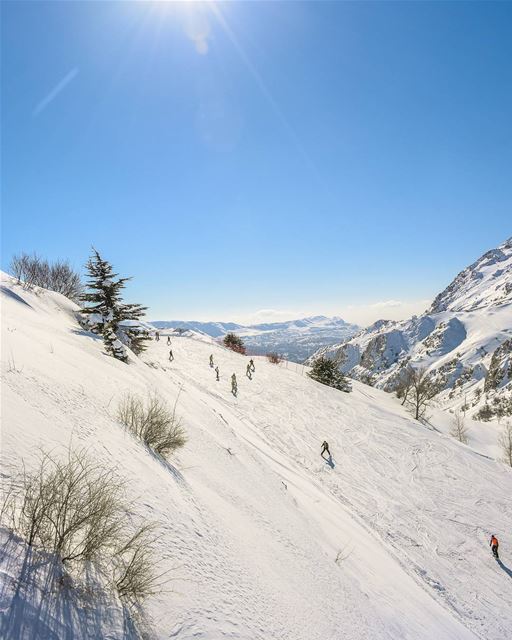 Nothing more exciting than a day on  Laklouk slopes😎 Ski  snow ... (El Laklouk, Mont-Liban, Lebanon)
