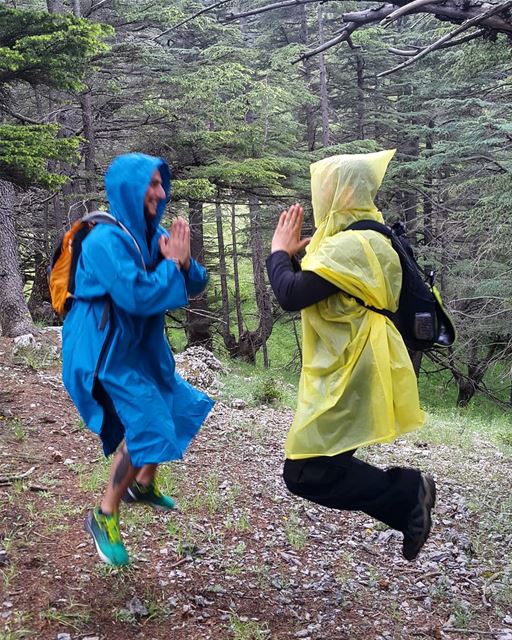 Nothing to see here, two monks levitating in the deep dark forests of...