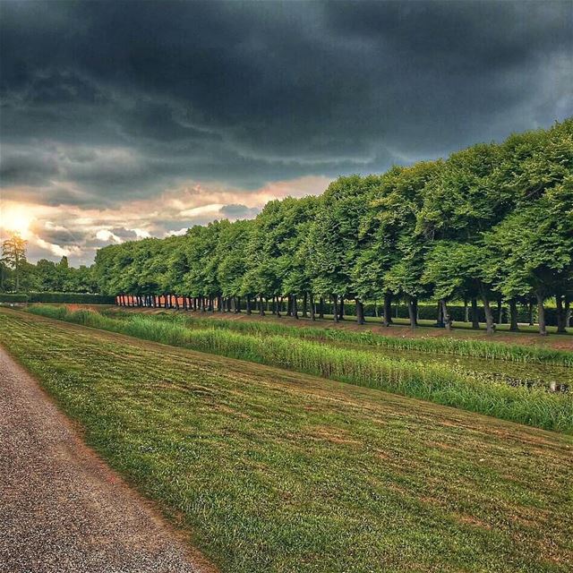 November eves🌳⛈.. nihabekaa  bekaa  lebanon  livelovebekaa ... (Niha, Béqaa, Lebanon)