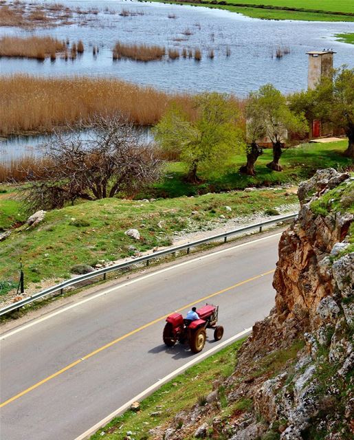 O deslumbrante Vale do Bekaa pelas lentes do @areejkh_photo -... (Beqaa Governorate)