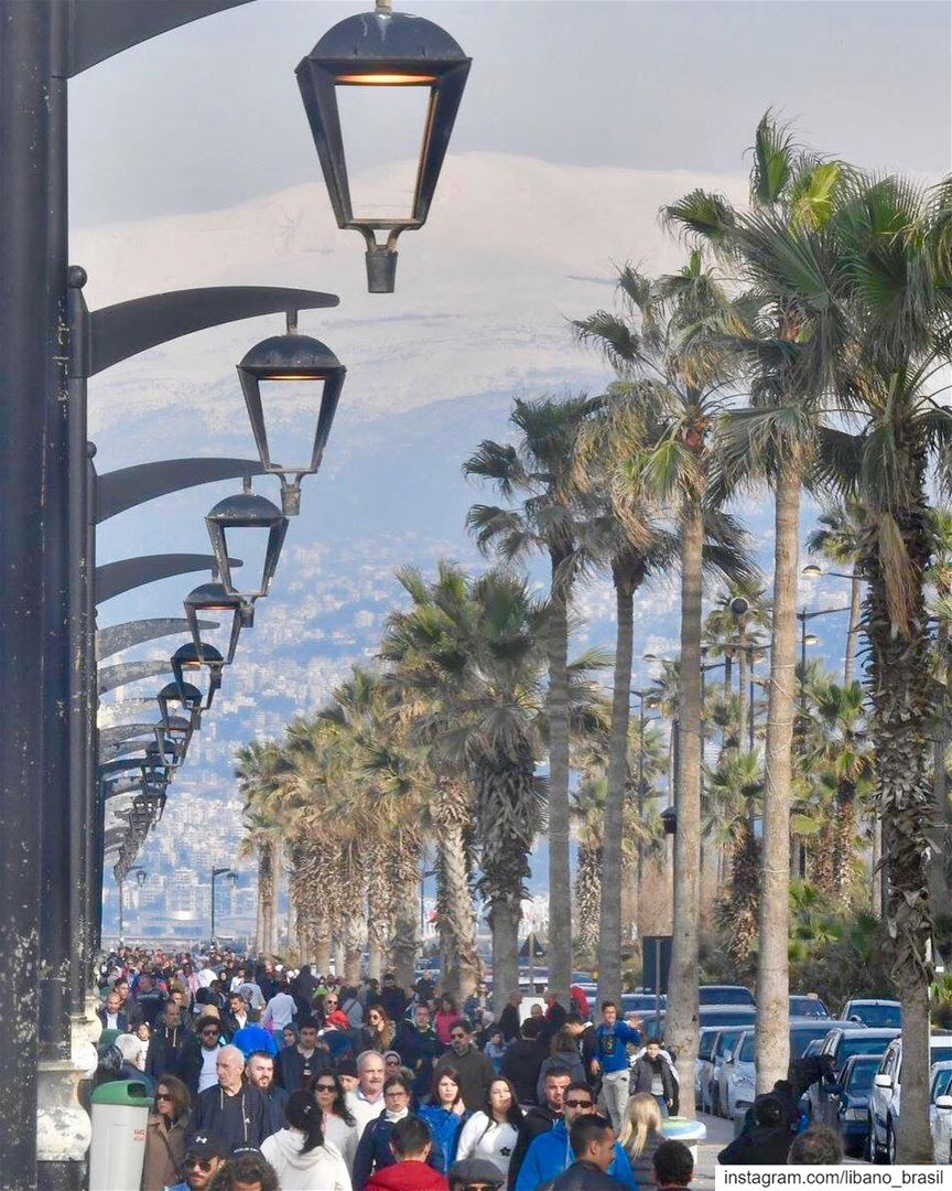 🇱🇧🇧🇷 O melhor jeito de começar o dia é caminhando pela Corniche (calçad (Beirut, Lebanon)
