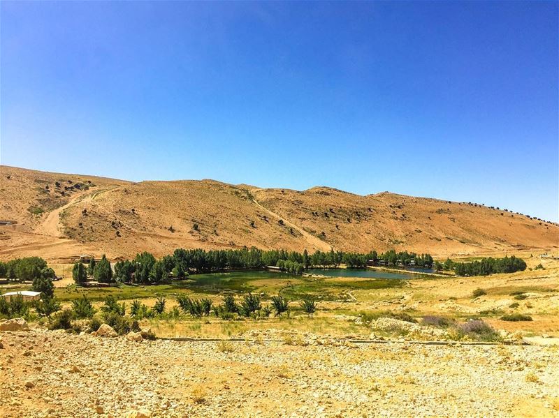 Oasis!..... natgeoshot  natgeotravelpic  liveoutside ... (Lebanon)