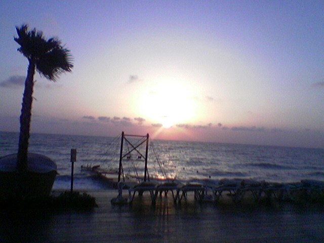Oceana Beach Damour 2005