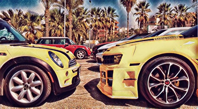  octobe_ride  byblos  camaro  minicooper  nice  vibes  cute  yellow ... (Byblos - Jbeil)