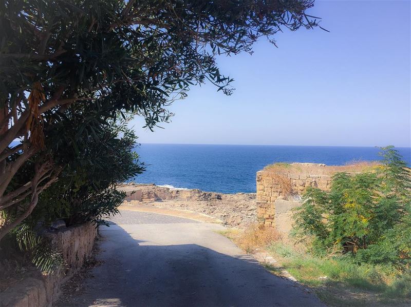 October  mood  landscape  sea  bluesea  bluesky  tree  ruins  ig_myshot ... (Batroûn)