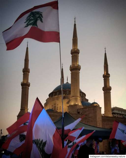  OctoberRevolution  Time for  old  leaves to  fall and  new ones to ... (Al Amin Mosque Beirut)