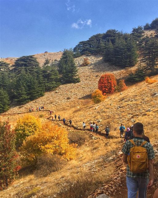 "Of all the paths you take in life, make sure a few of them are dirt."---- (Bâroûk, Mont-Liban, Lebanon)