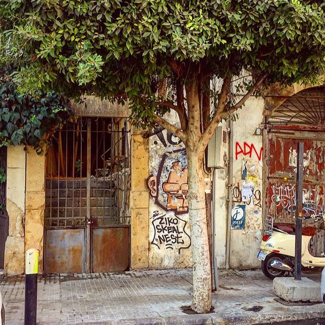 Of course there is a monkey. There is always a monkey🐒::::::::::::::::::: (Achrafieh, Lebanon)