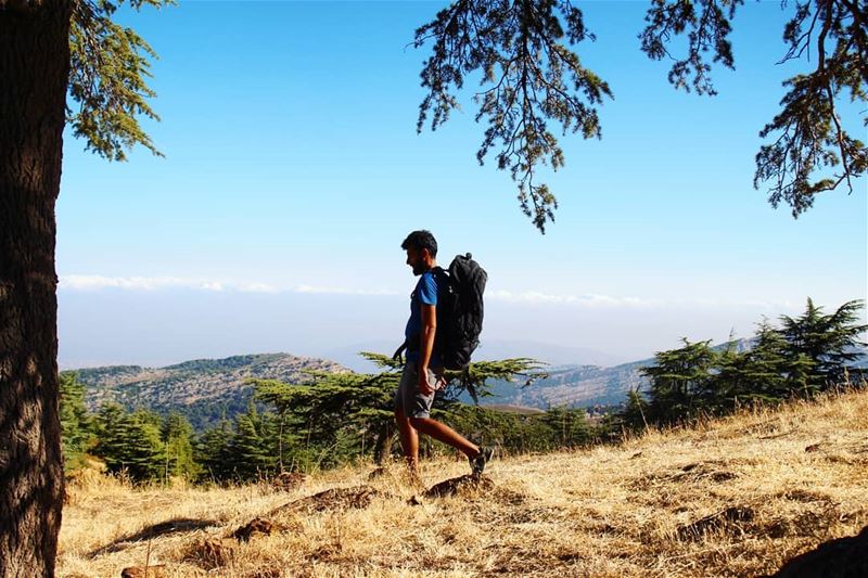 Of man and nature! man  nature  outdoorliving  outdoorlife ... (Niha, Liban-Nord, Lebanon)