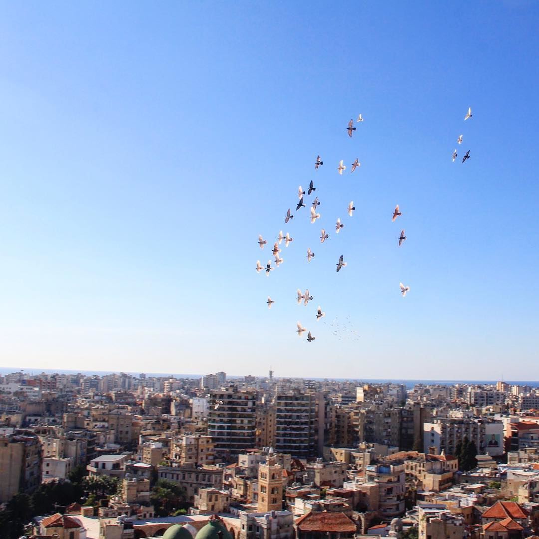 Often freedom gives you the power of a protector and the unlimited... (Tripoli, Lebanon)