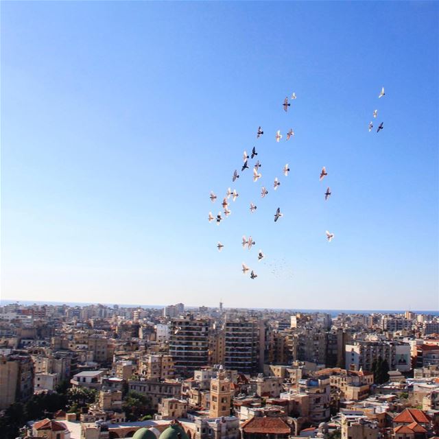 Often freedom gives you the power of a protector and the unlimited... (Tripoli, Lebanon)