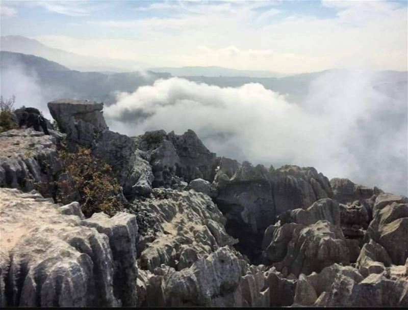 Oh  Happy  Friday! JabalMoussa  unescomab  unesco  biospherereserve ...