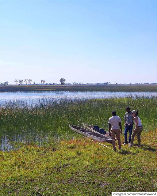 Okavango Delta, Botswana: we spotted a hippo 🌾🦛 rubzseestheworld...... (Okavango Delta)