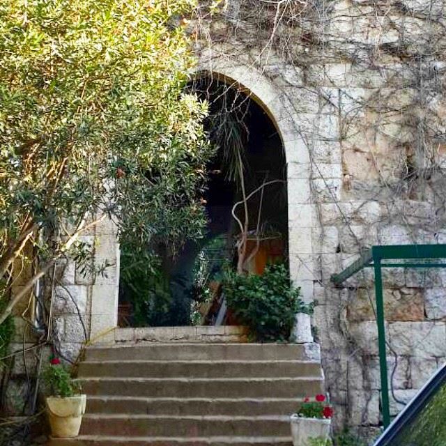 old architecture oldarchitecture oldhomes oldhousestonehome stonewall archleb arch plants loves_lebanon