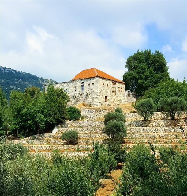 Old = beautiful 🌳🌲🌺 ...... Lebanon  lebanonoldhouses  jbeil  byblos...