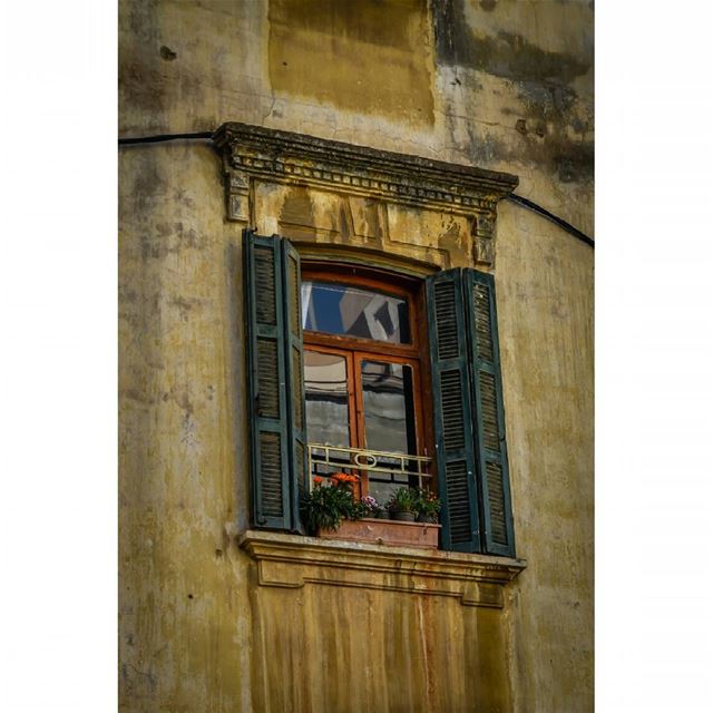  old  buildings  beirut  lebanon  architecture  window  plant  flowers ...