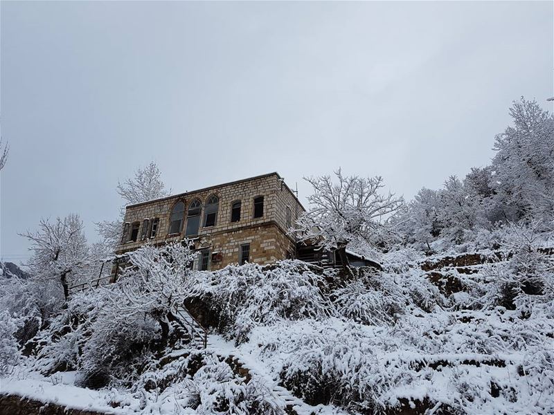 Old but Gold  faraya  snow  storm  lebanon  mountains  freshsnow  old ... (Faraya, Mont-Liban, Lebanon)