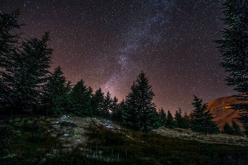 Old but gold  lebanese  lebanon  milkywaychasers  milkyway...