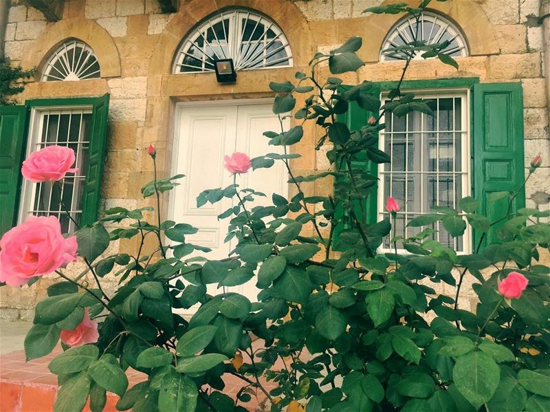 Old But Gold  nature  garden  pink  flowers green  plants  old  house ... (Antoura)