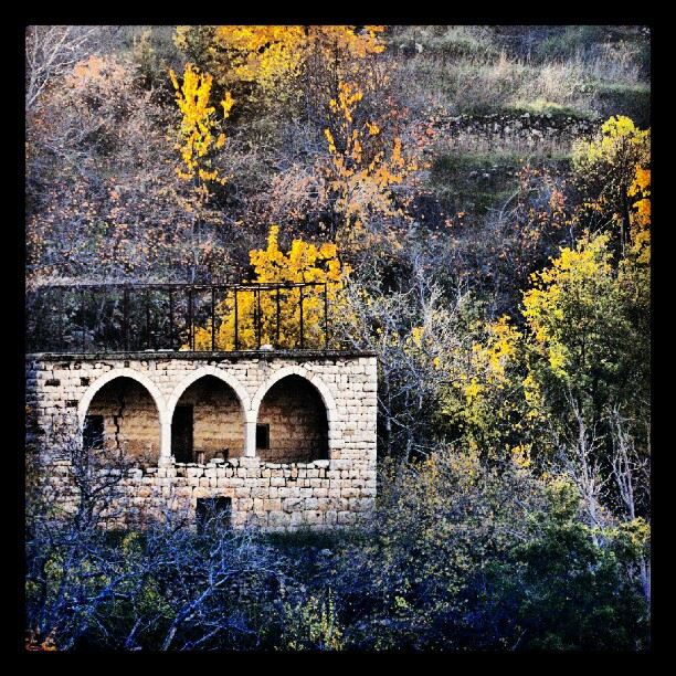  old  fall  ruins  color  falling leaves  spectacular view ...