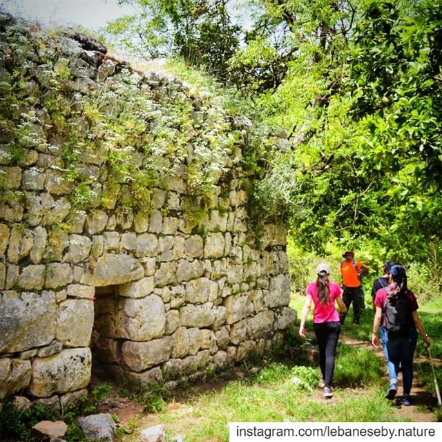  Old  homes reflect old  hearts.. kaftoun  boxmaya  nahereljoz  trail ... (Naher El jouz)