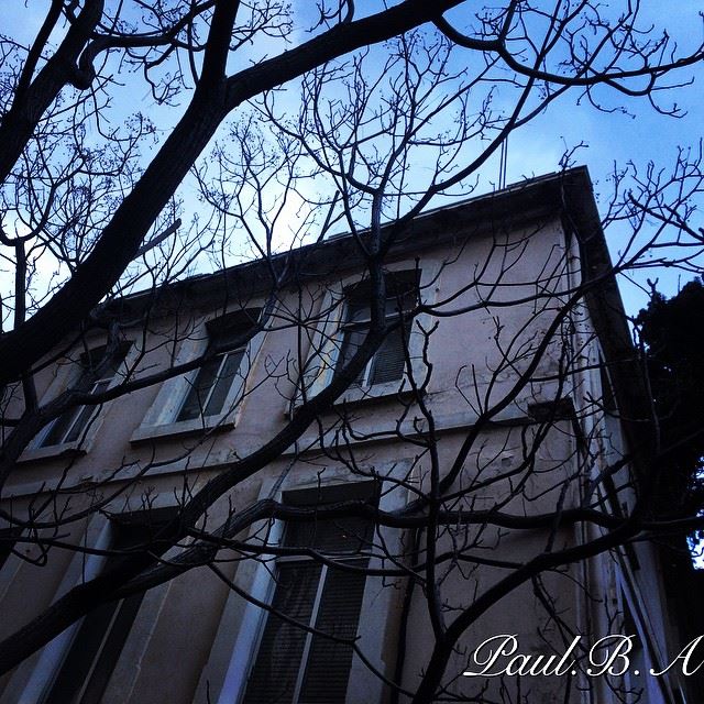  old house naked tree wind cold grey blue sky weather Hamra Lebanon...
