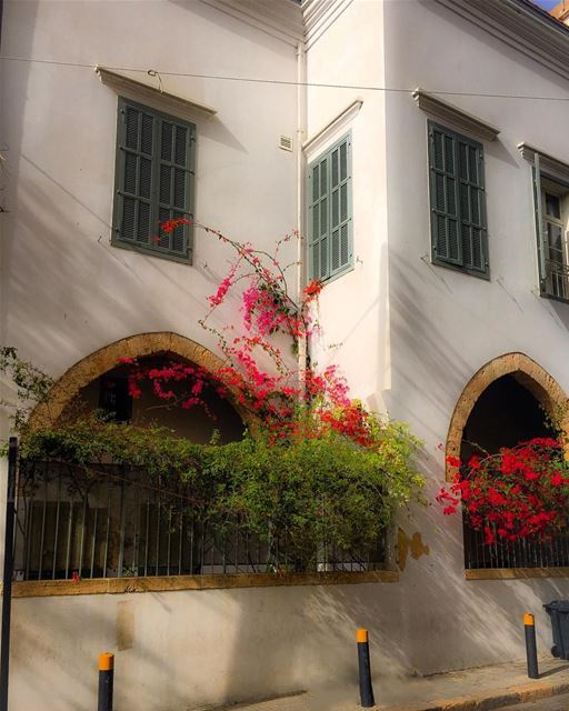 Old house of Beirut  beautiful  architecture  archilovers  oldhouses ...