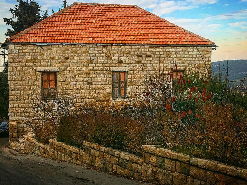 Old houses, I thought, do not belong to people ever, not really, people... (Douma, Liban-Nord, Lebanon)