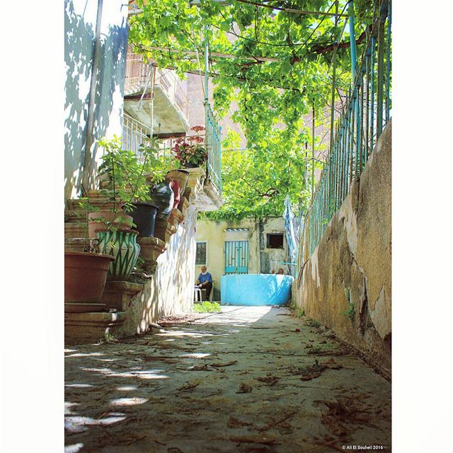  old  lebanese  house  green  garden  tyre  southlebanon  perspective ... (Tyre, Lebanon)