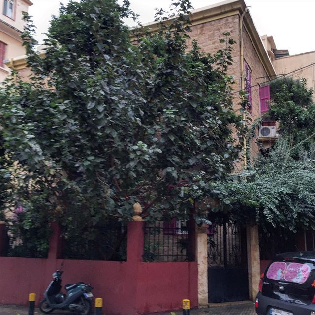 Old Lebanese house still resisting the call of skyscrapers  traditional ...