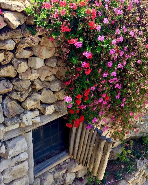  old oldhouse  window  flowers  nostalgia  lebanonhouses  arnaoun ...