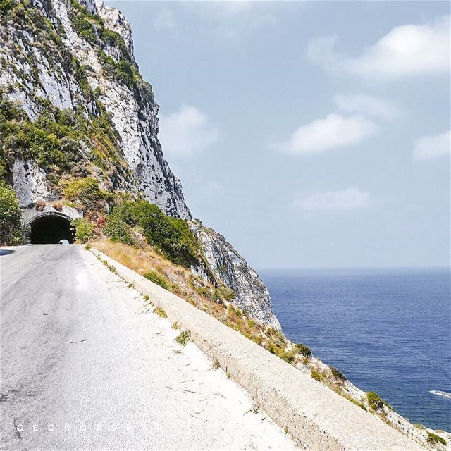 Old road leading to the North, Hamat Lebanon 🇱🇧........ (Hamâte, Liban-Nord, Lebanon)