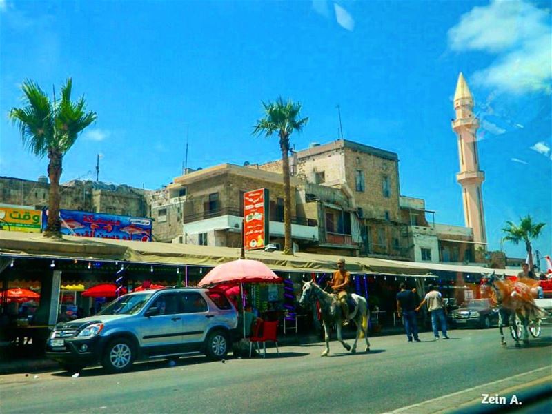  old  saida  horse  car  palm  people  trees  street  streetphotography ... (Sidon, Lebanon)