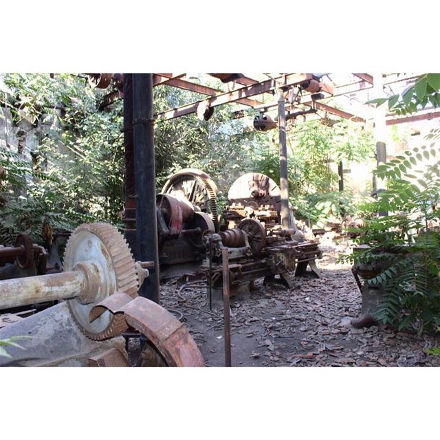 Old train station 🚃  lebanon  trainstation  bekaa  riyak  instapic ...