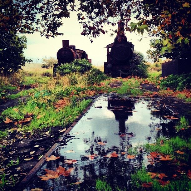  old  trainstation  train  station  rain  winter  green  nature  abandoned...