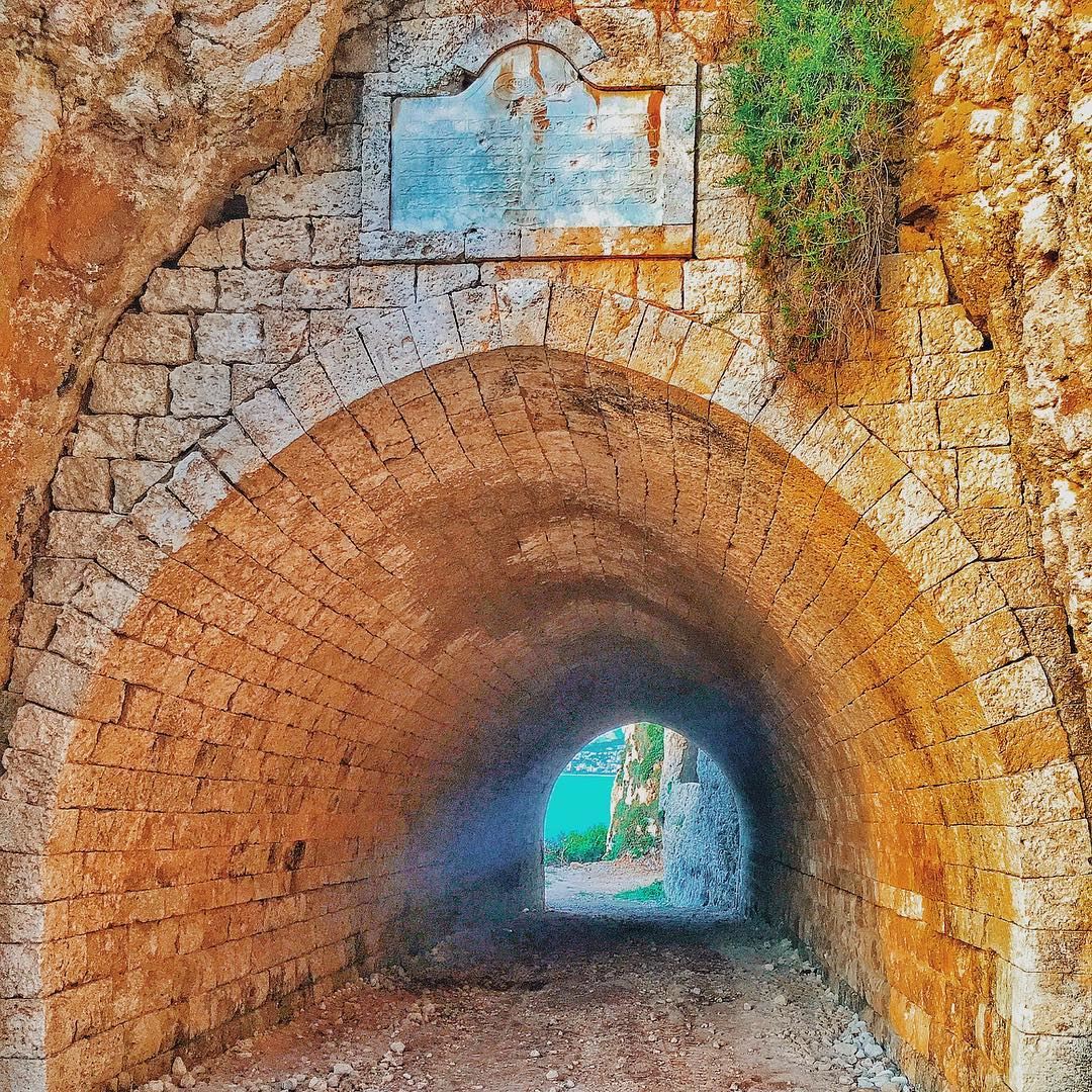 " Old Tunnel Of Chekka..." whatsuplebanon wearelebanon ourlovelylebanon... (Tunnel Chekka)