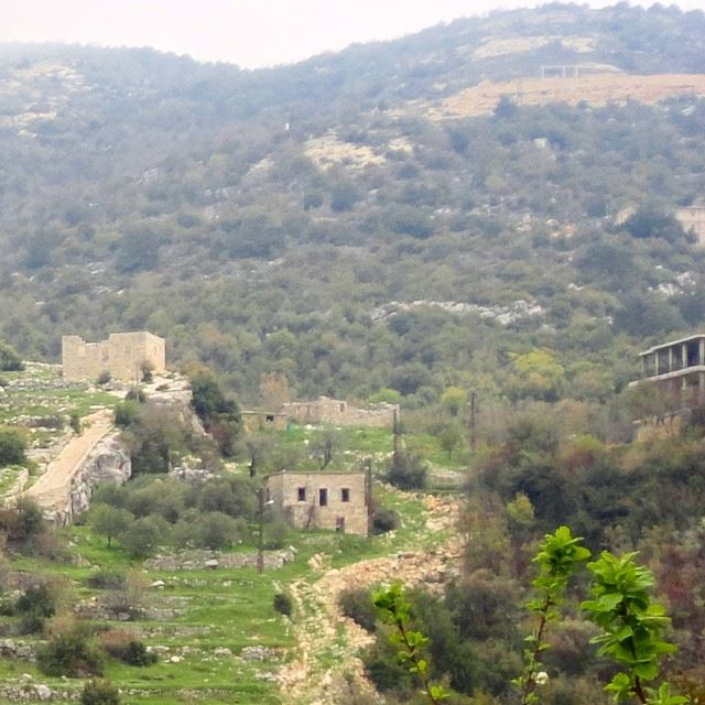 oldabandoned housestonehome stonehouselebanonhouses naturemountain beautifulnature beautifullebanon