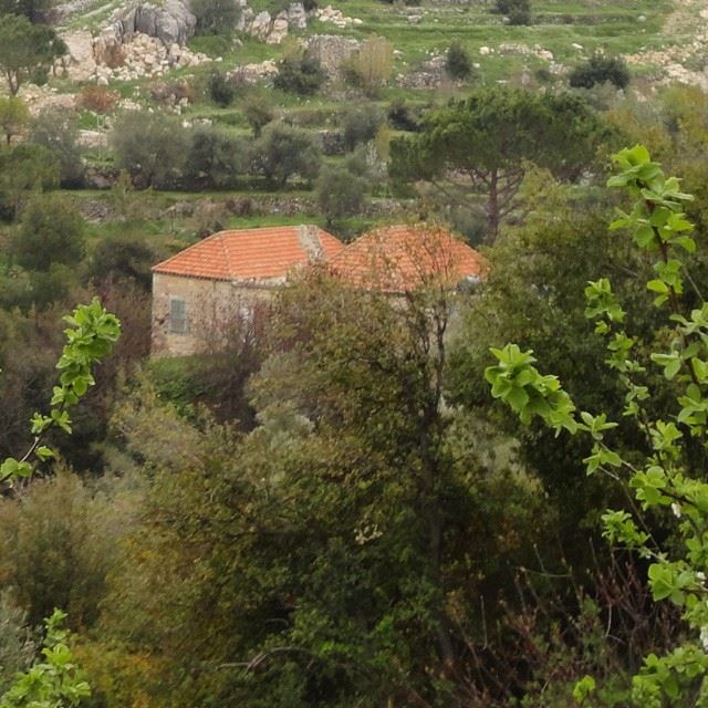 oldarchitecture houseoldhomes oldhouse lebanonhouses lebanonhome redbricks natureloves_lebanon whatsuplebanon beautifullebanon beautifulnature